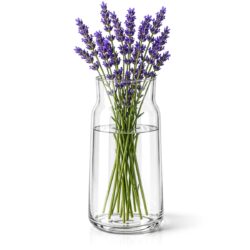 ️A Ø 14 x 30 cm-es üveg virágváza friss virágokhoz és szárított dekorációkhoz is alkalmas. Elegáns kiegészítő vendéglátóipari egységekbe és otthonra.